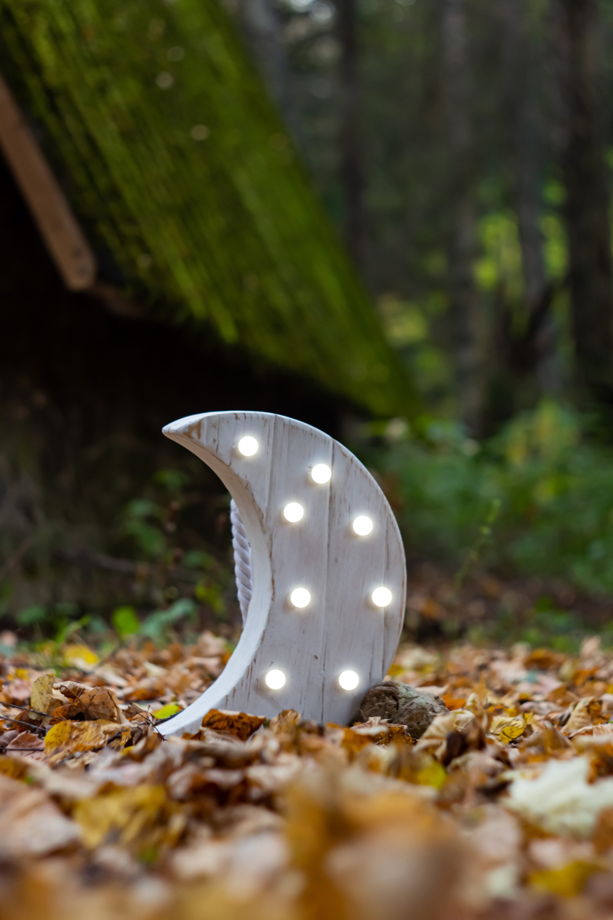 ЛУНА  — Авторский светильник, ночник из дерева ручной работы