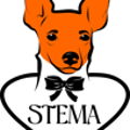 STEMA | Одежда для собак