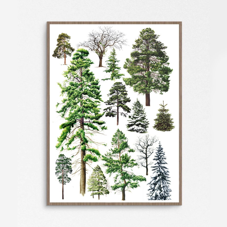 Печатный постер в винтажном стиле А4 "Trees"