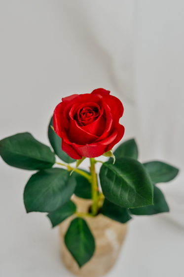 Красные искусственные розы / Реалистичные розы в подарок / Красные розы для интерьера