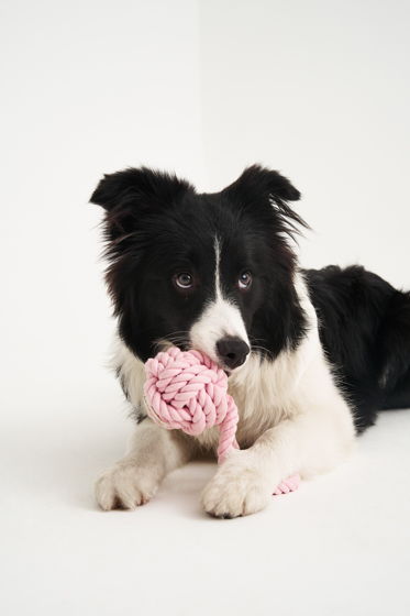 Веревочная игрушка для собак крупных и средних пород в цвете "Клубничные сливки"