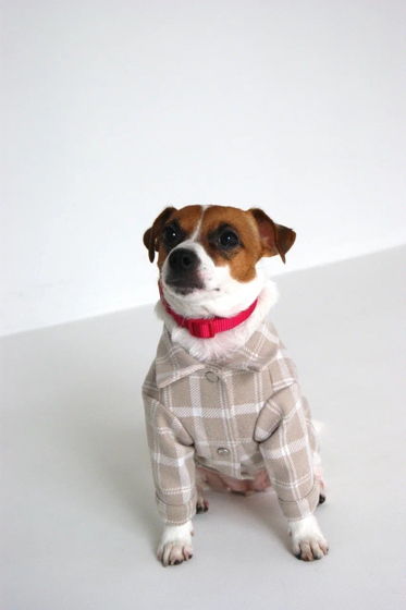 Рубашка "Джерси Beige" для собак