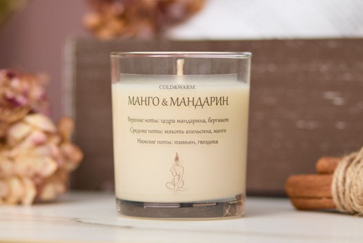 Соевая ароматическая свеча 250 мл / Манго Мандарин