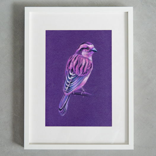 Картина пастелью  птица на фиолетовом фоне в интерьер