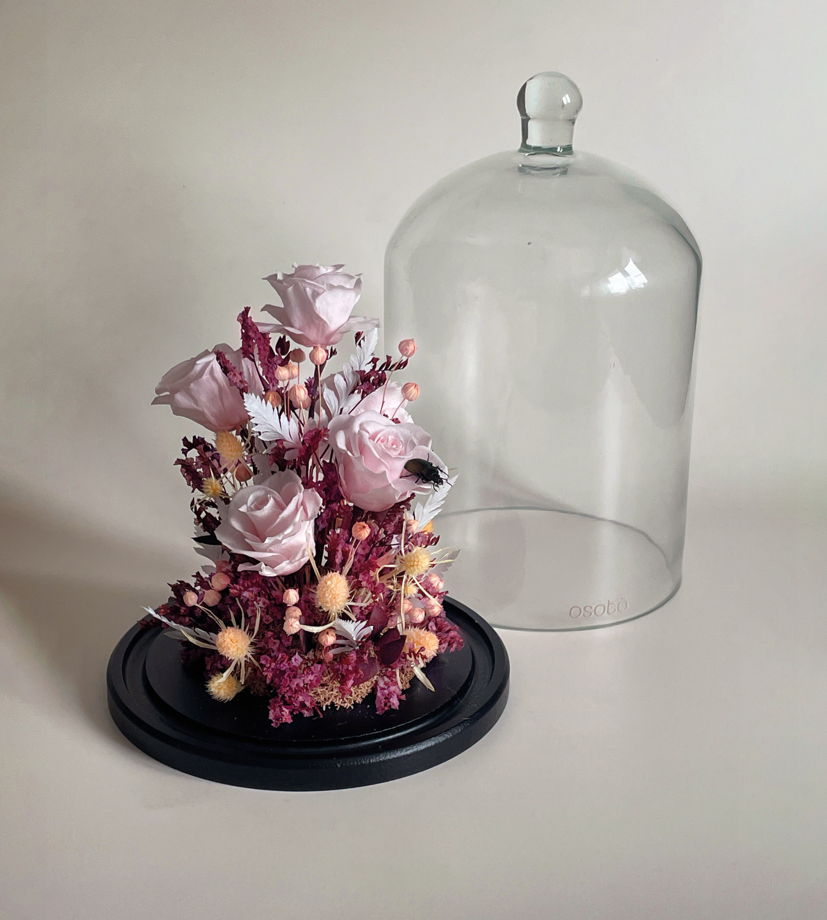 клош Жук в маленьком саду