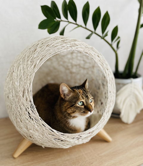 Плетенный домик- гнездо для кошек и мелких пород собак