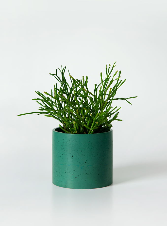 Кашпо бетонное для декоративно-лиственных растений