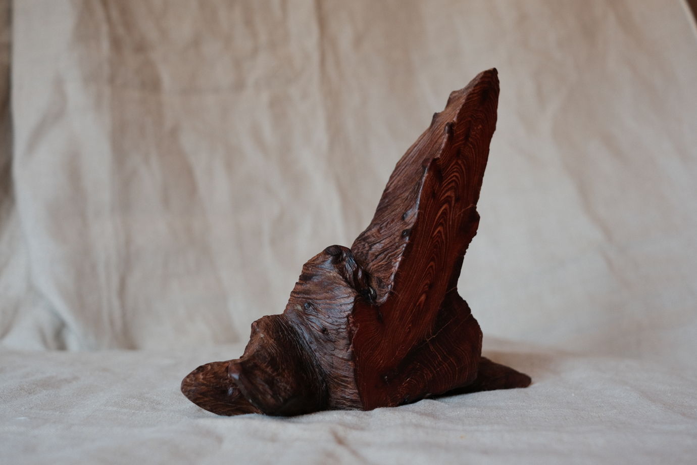 Интерьерный акцент из спила корня можжевельника