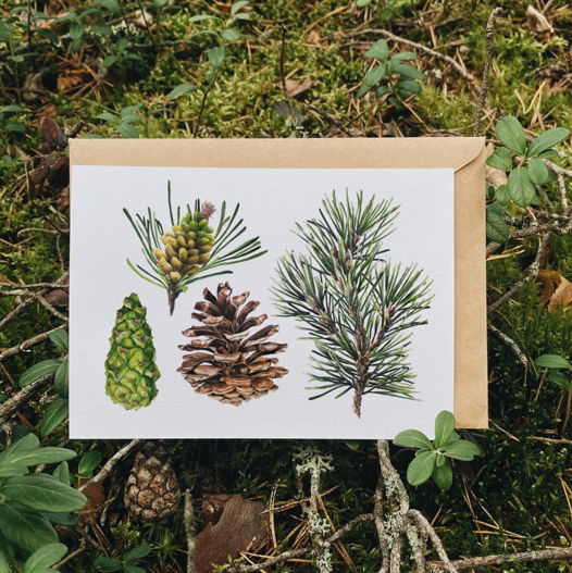 Почтовая открытка "Сосновые шишки и ветки", 10х15см