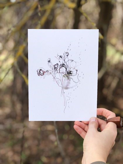 Серия открыток «Сухоцветы»