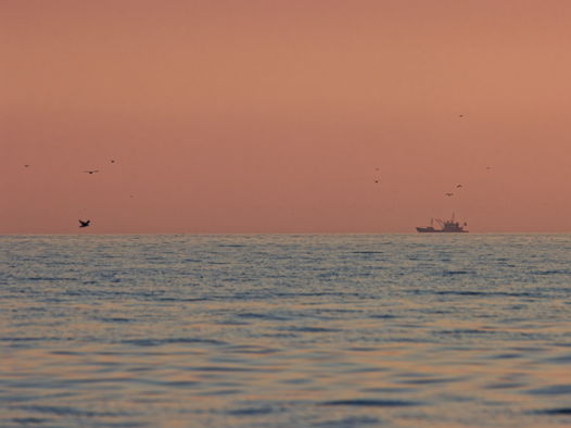 Авторский фотопостер 30*40 см, интерьерный постер "Анапская бухта на закате"