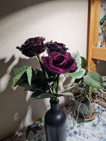 Интерьерная инсталляция из трех элегантных крупных роз темно-бардового цвета.