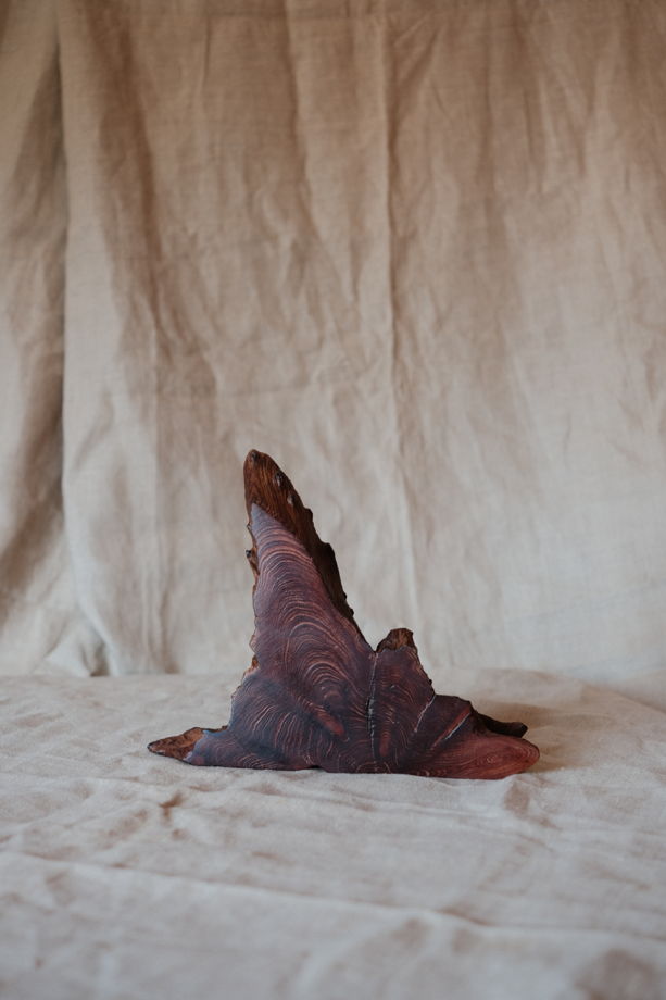 Интерьерный акцент из спила корня можжевельника