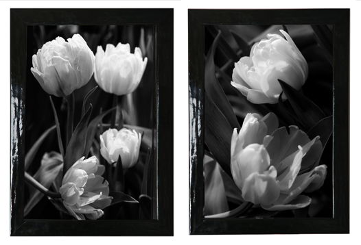 Комплект из двух оформленных работ, серия "Время тюльпанов", в багетных рамах. Можно купить по отдельности.