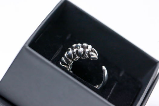 Серебряное кольцо в виде личинки, для мужчин и женщин