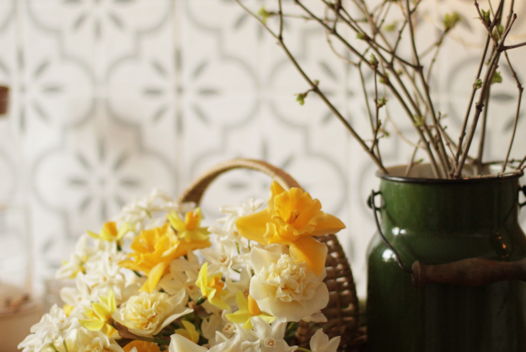 Нарциссы из холодного фарфора