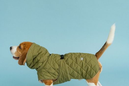 Стёганая попона для собак ОЛИВКОВЫЙ
