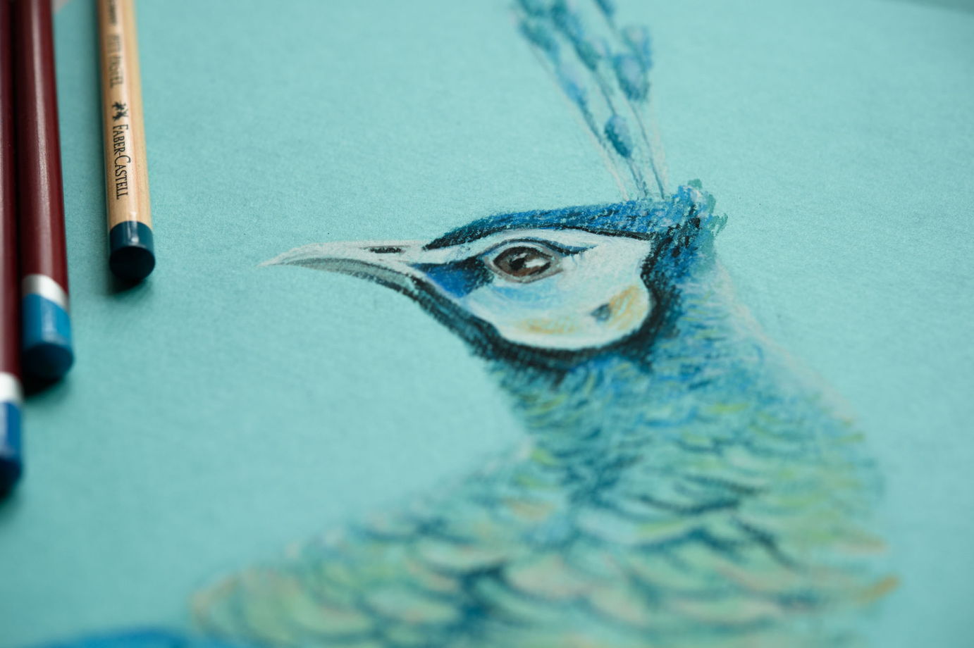 Картина птицы пастелью на бирюзовом фоне