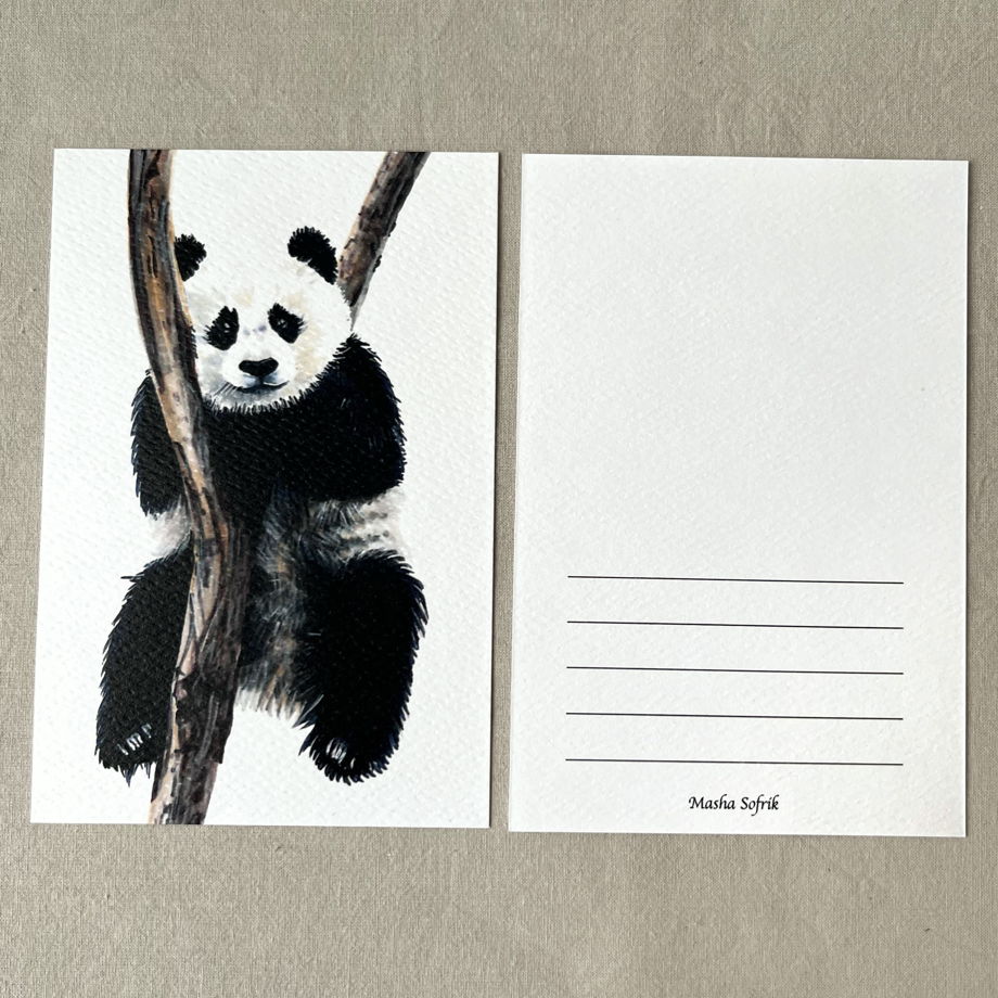 Открытка "Панда на дереве"