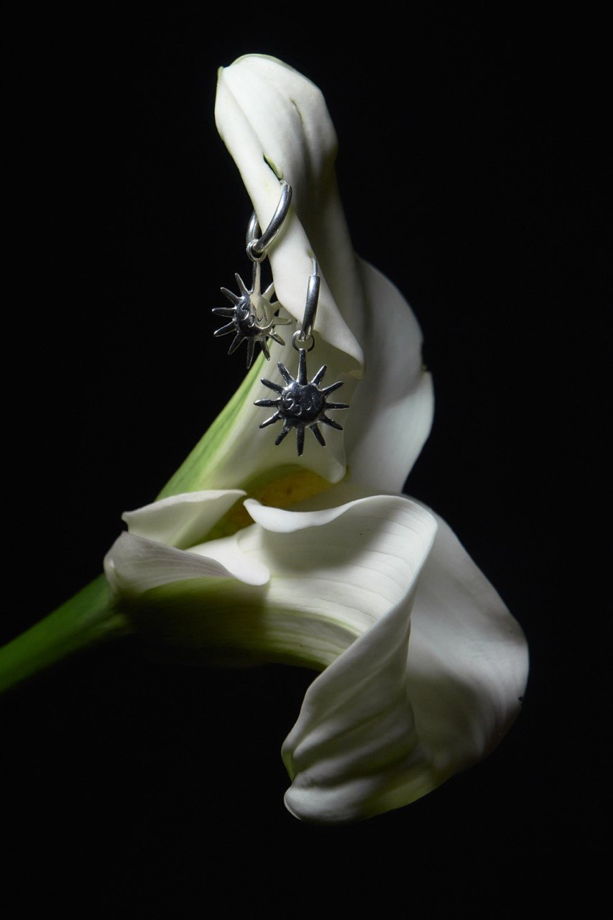 Сережки Aerin (солнце)
