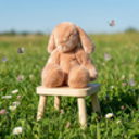 Заячьи истории by Sandra Gallok