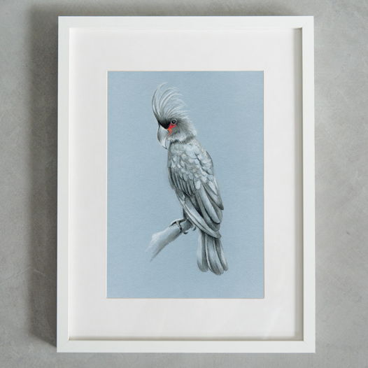 Рисунок пастелью "Попугай" птица на сером фоне в интерьер