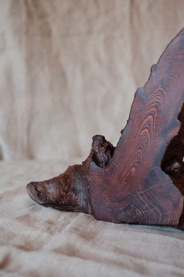 Интерьерный акцент из спила корня можжевельника