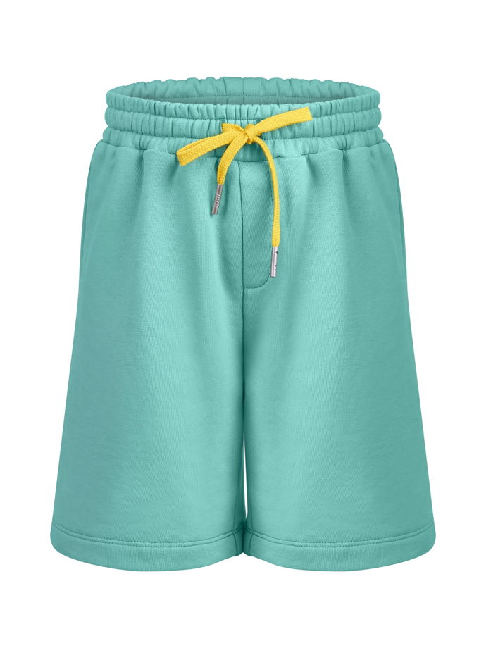 Мягкие шорты для мальчика из футера мятного цвета Lagoon
