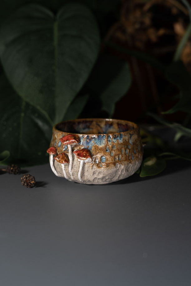 Керамическая пиала с грибами и космосом внутри для чайных церемоний