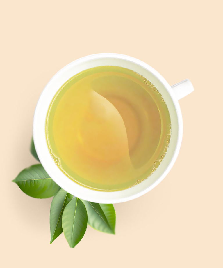 Моринга чай с листьями кафрского лайма