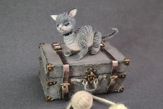 Котенок Сфинкс Хрящик Беспощадный