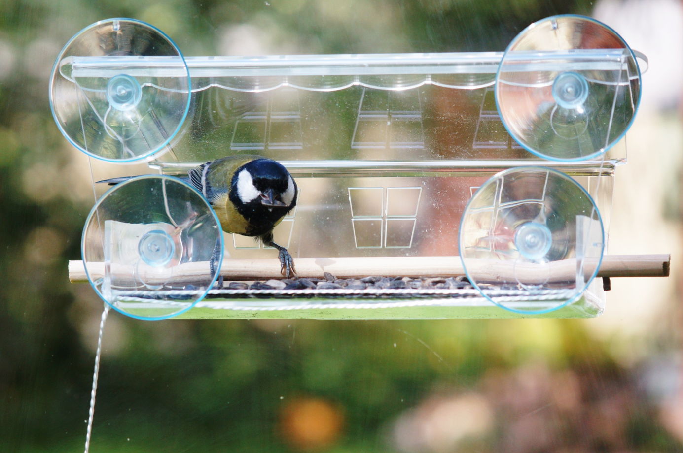 Кормушка для птиц с присосками на окно "Веранда"