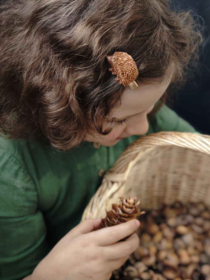 Набор заколок для волос: "Ёжик с яблоком"