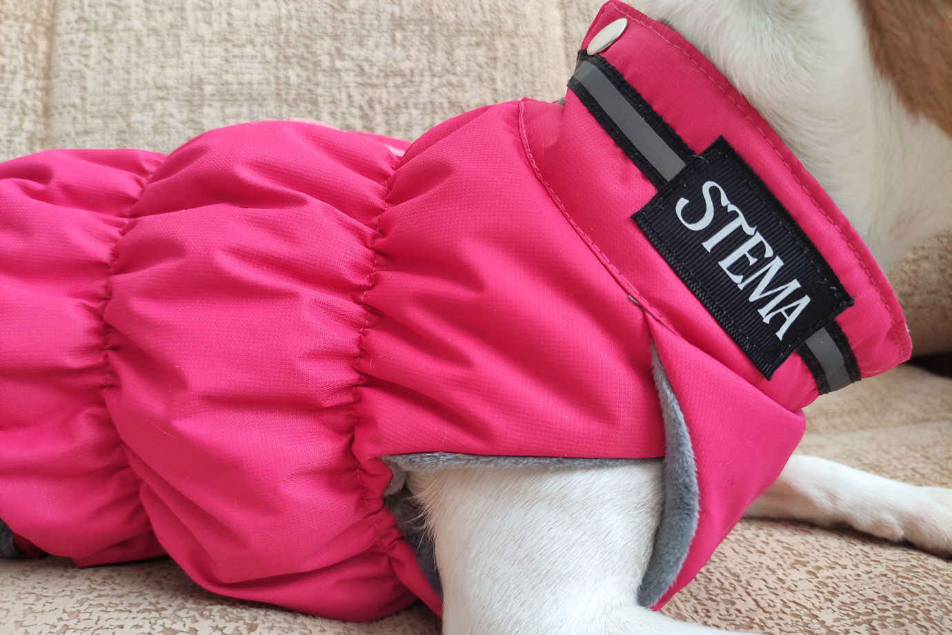 Зимняя жилетка из мембраны розового цвета для собак