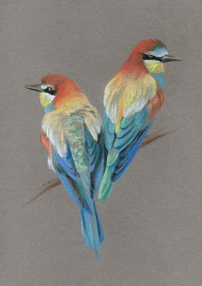 Принт рисунка пастелью птица на серо-коричневом фоне в интерьер