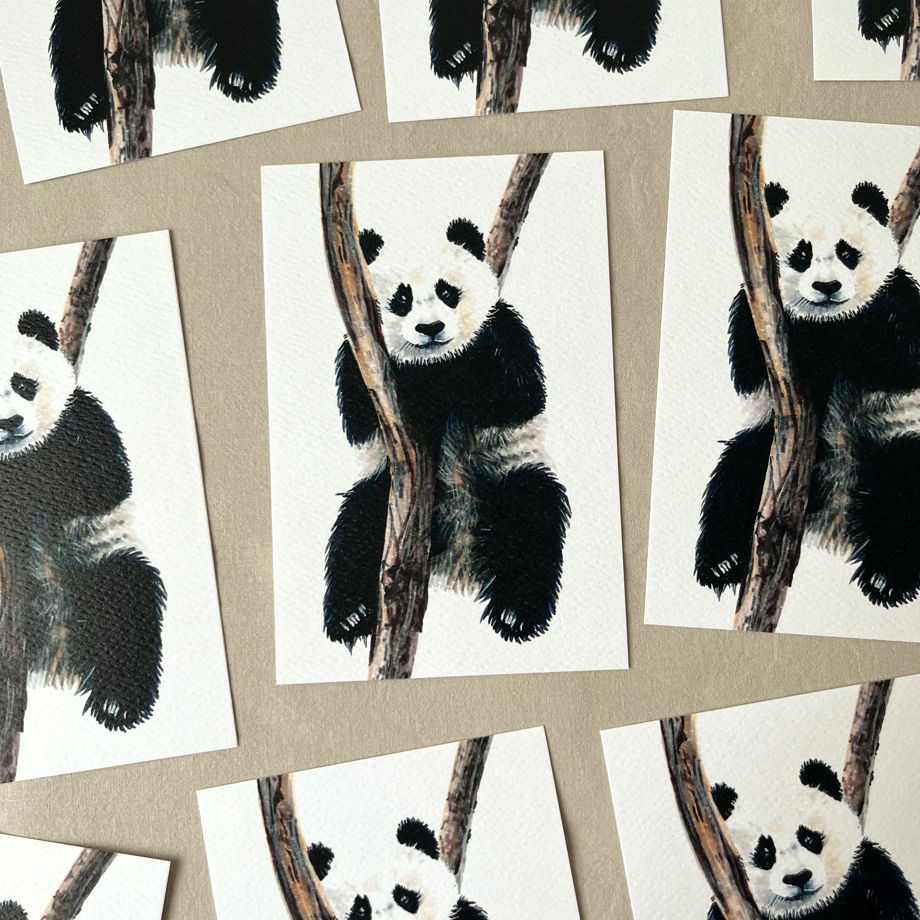 Открытка "Панда на дереве"