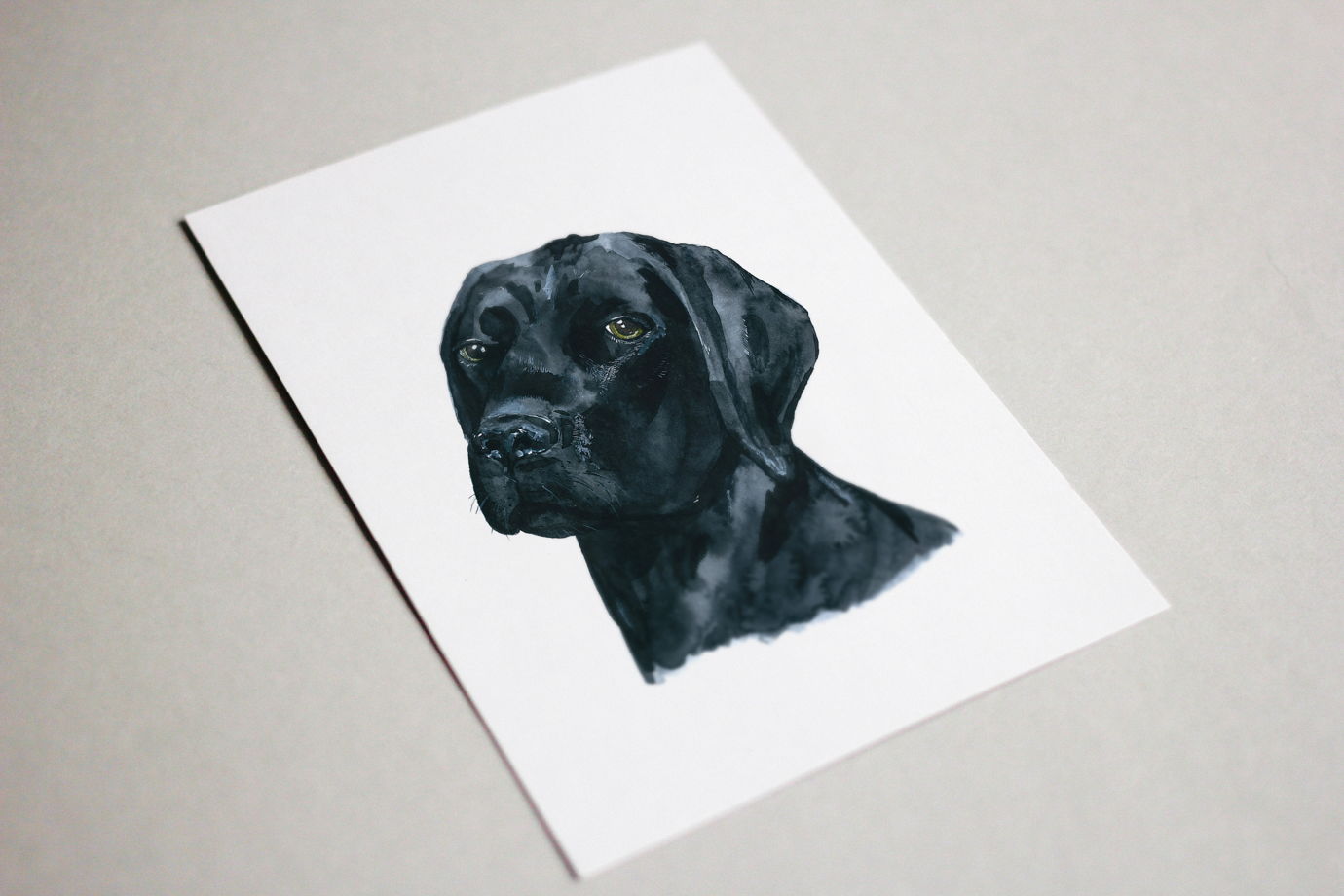Портрет собаки акварелью "Лабрадор" по фото  (на заказ, любая порода)
