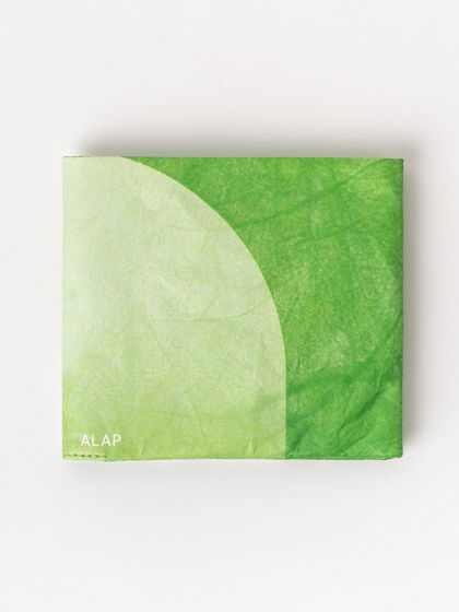 Бумажник ALAP для банкнот, карт, визиток из тайвека зелёный