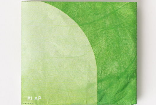 Бумажник ALAP для банкнот, карт, визиток из тайвека зелёный