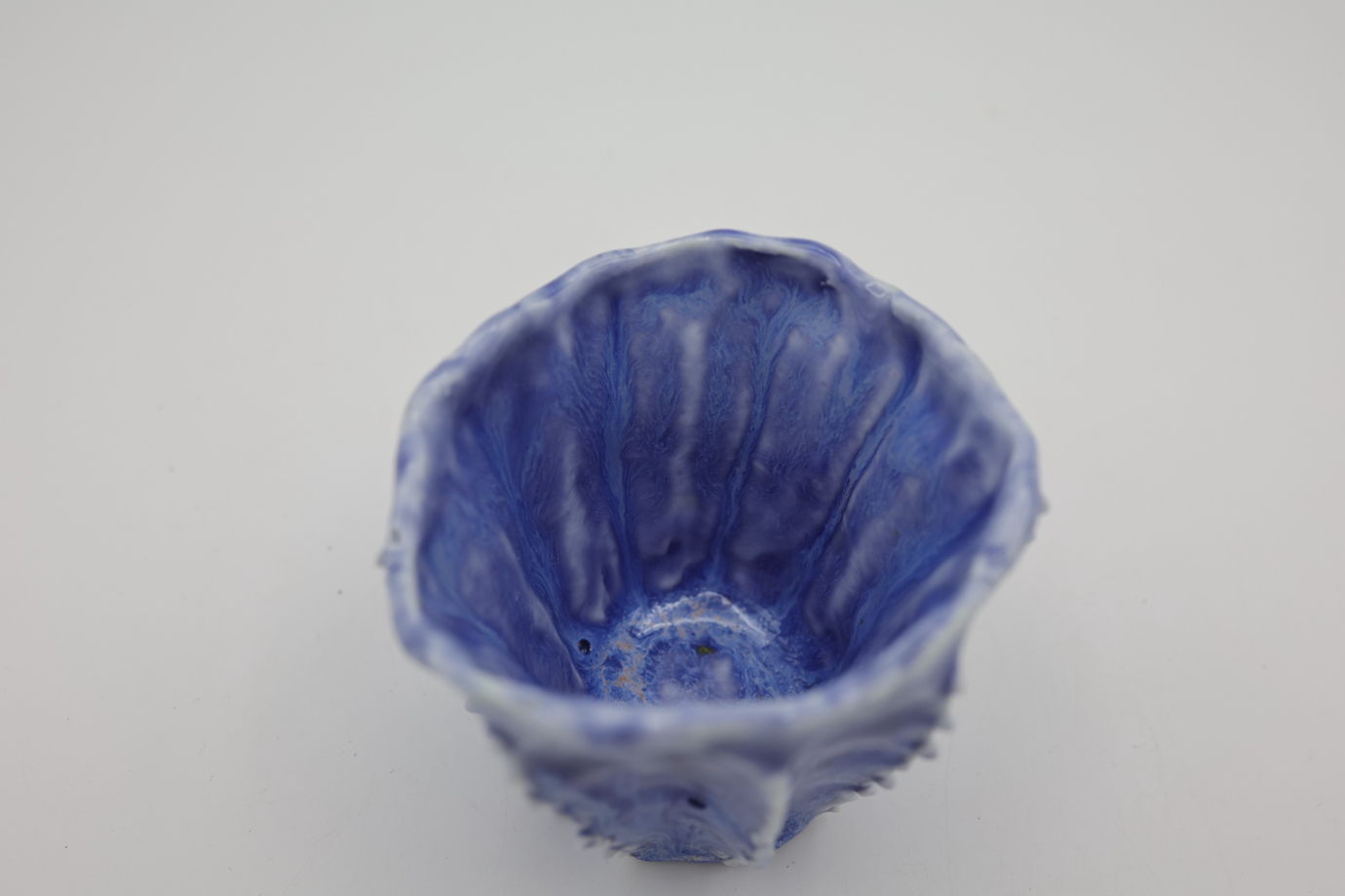 пиала. Голубые колючки