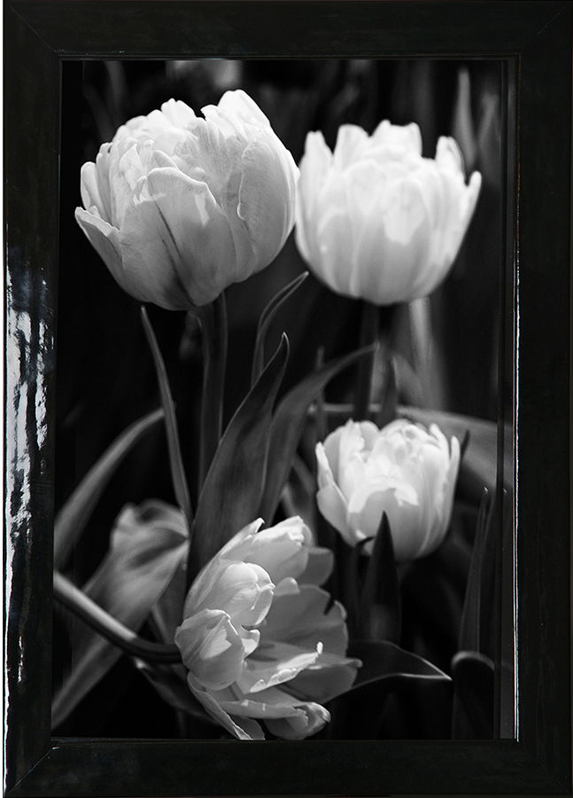 Комплект из двух оформленных работ, серия "Время тюльпанов", в багетных рамах. Можно купить по отдельности.