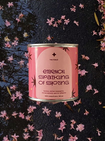ВЕЧНОЕ СИЯНИЕ ВЕСНЫ [ETERNAL SPARKLING OF SPRING] // бузина, листья смородины, лесная малина