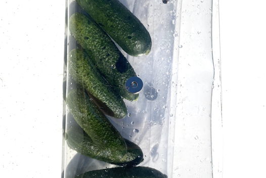 Клатч прозрачный с ручной росписью Pollock зеленый