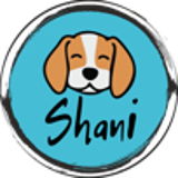 Shani_workshop
