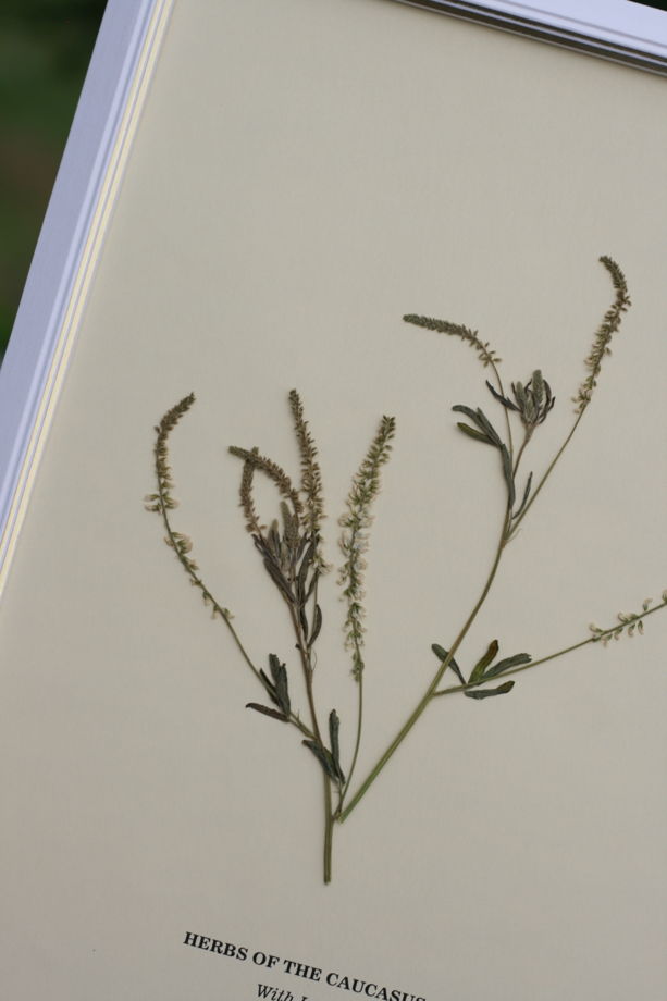 Декоративное панно с полевым цветком в интерьер комнаты