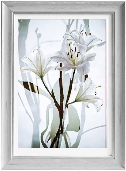 Авторская фотография "Белые лилии в окне", в раме с паспарту