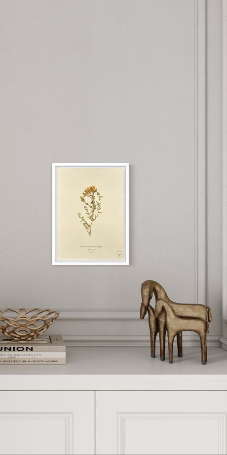 Декоративное панно с полевым цветком в интерьер комнаты