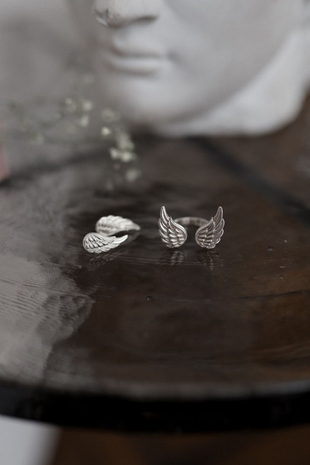 Серьги-пусеты крылья из серебра