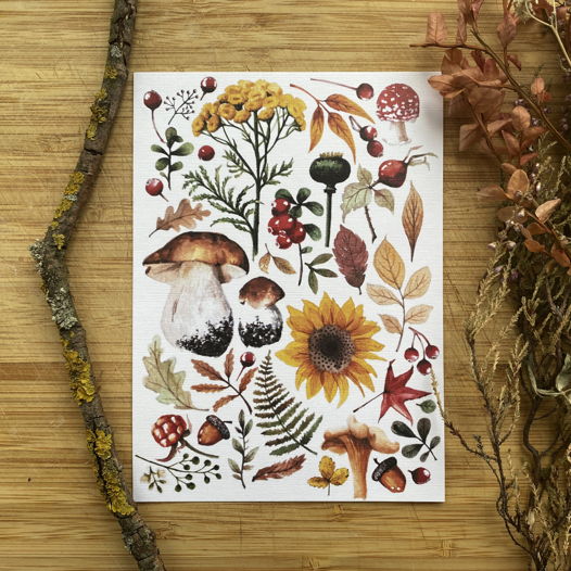 Почтовая открытка "Осенний гербарий", 10х15см