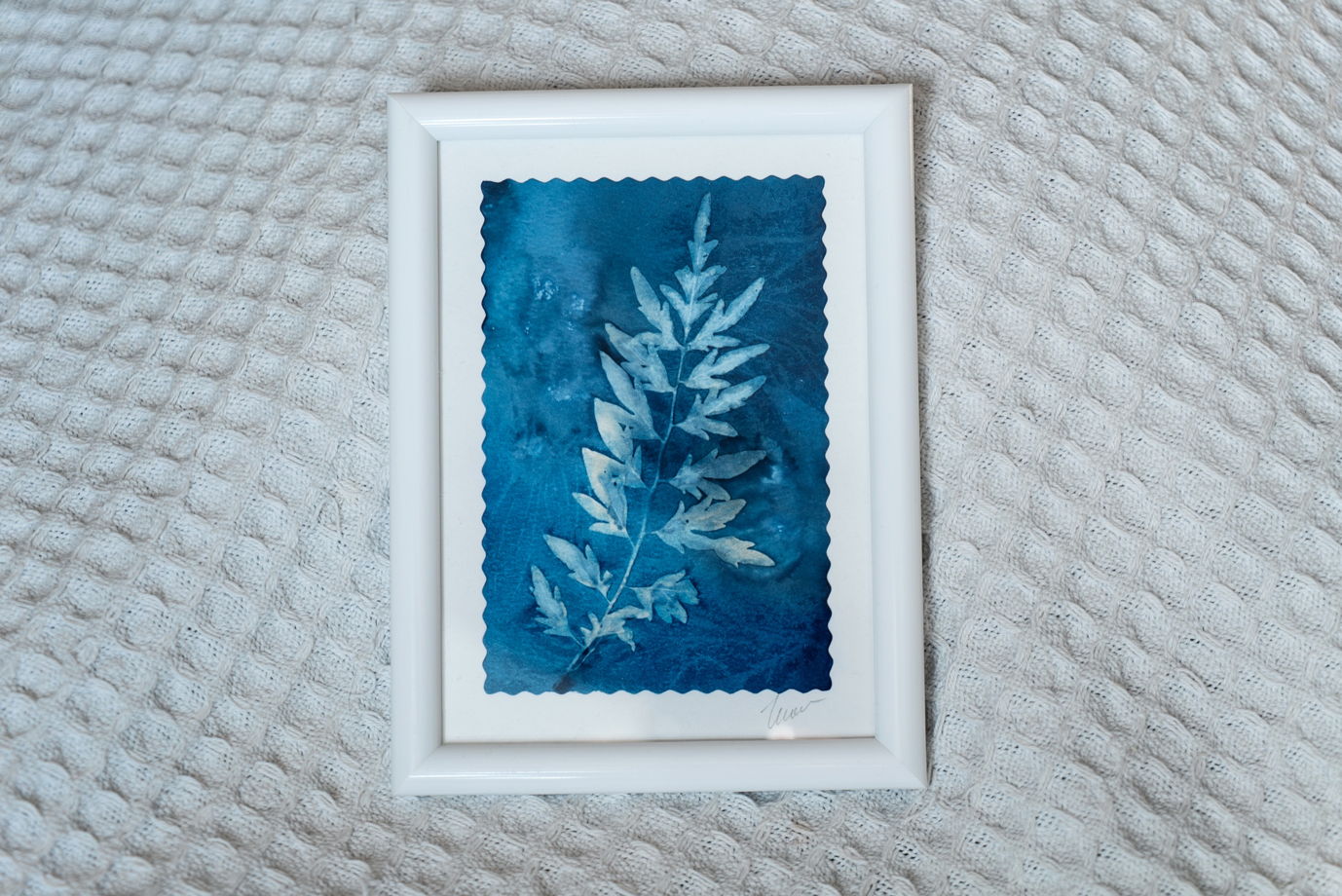 Фотограмма "Ажурный лист" в технике   wet cyanotype
